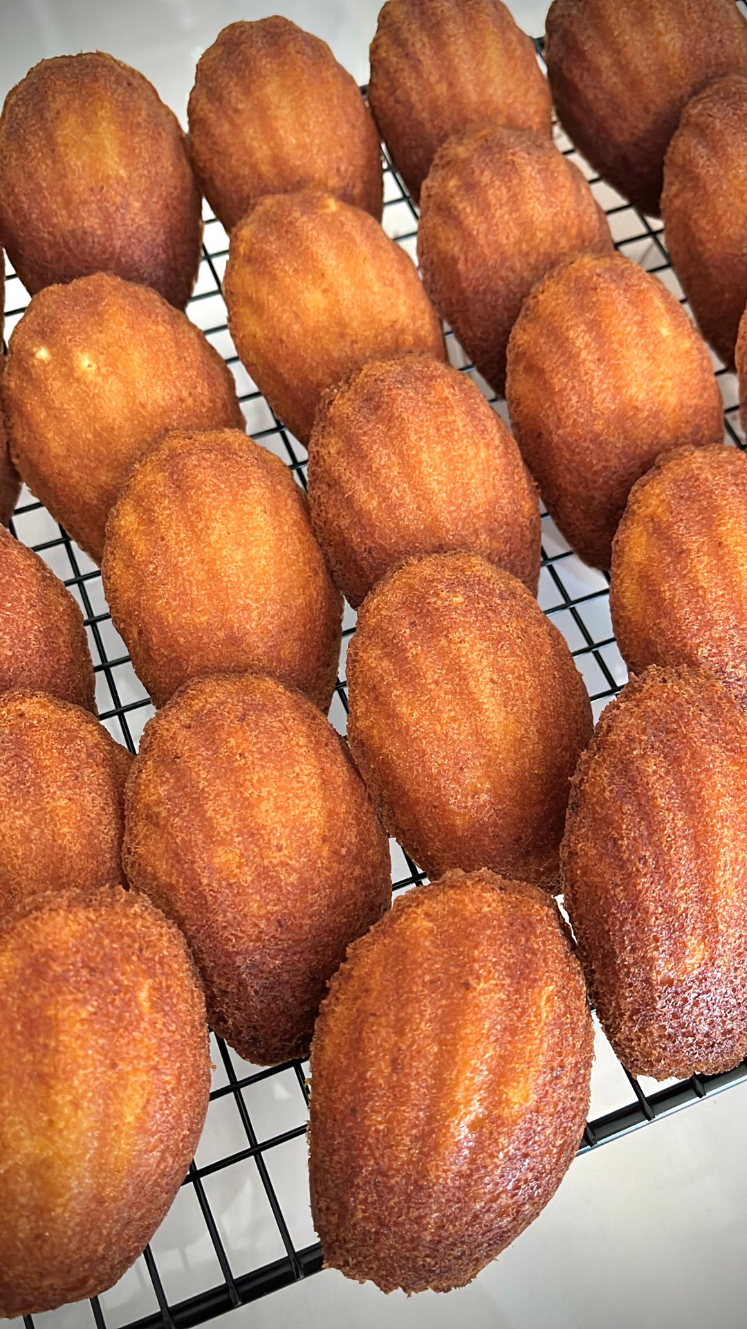 Beurre Noisette Madeleines (Brown Butter) / 10pcs