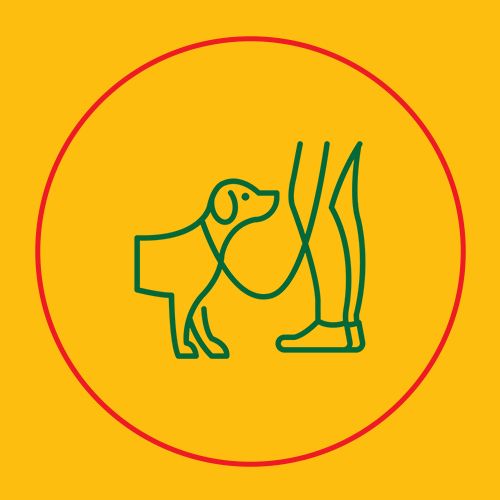 Dog Walking - 1 Hour