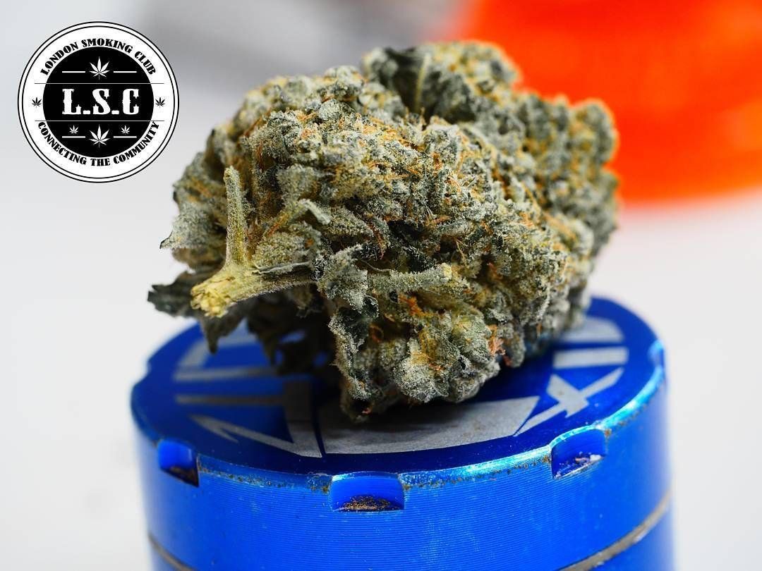 Gas Chamber Strain