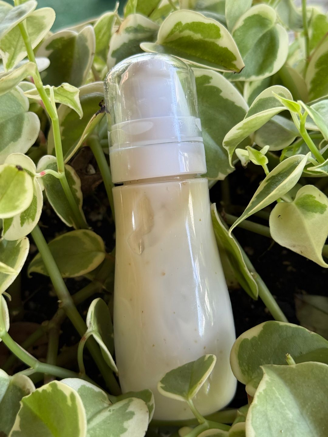Face Night Cream: reduces spots, stretch marks, wrinkles, and sagging skin, and balances skin tone.