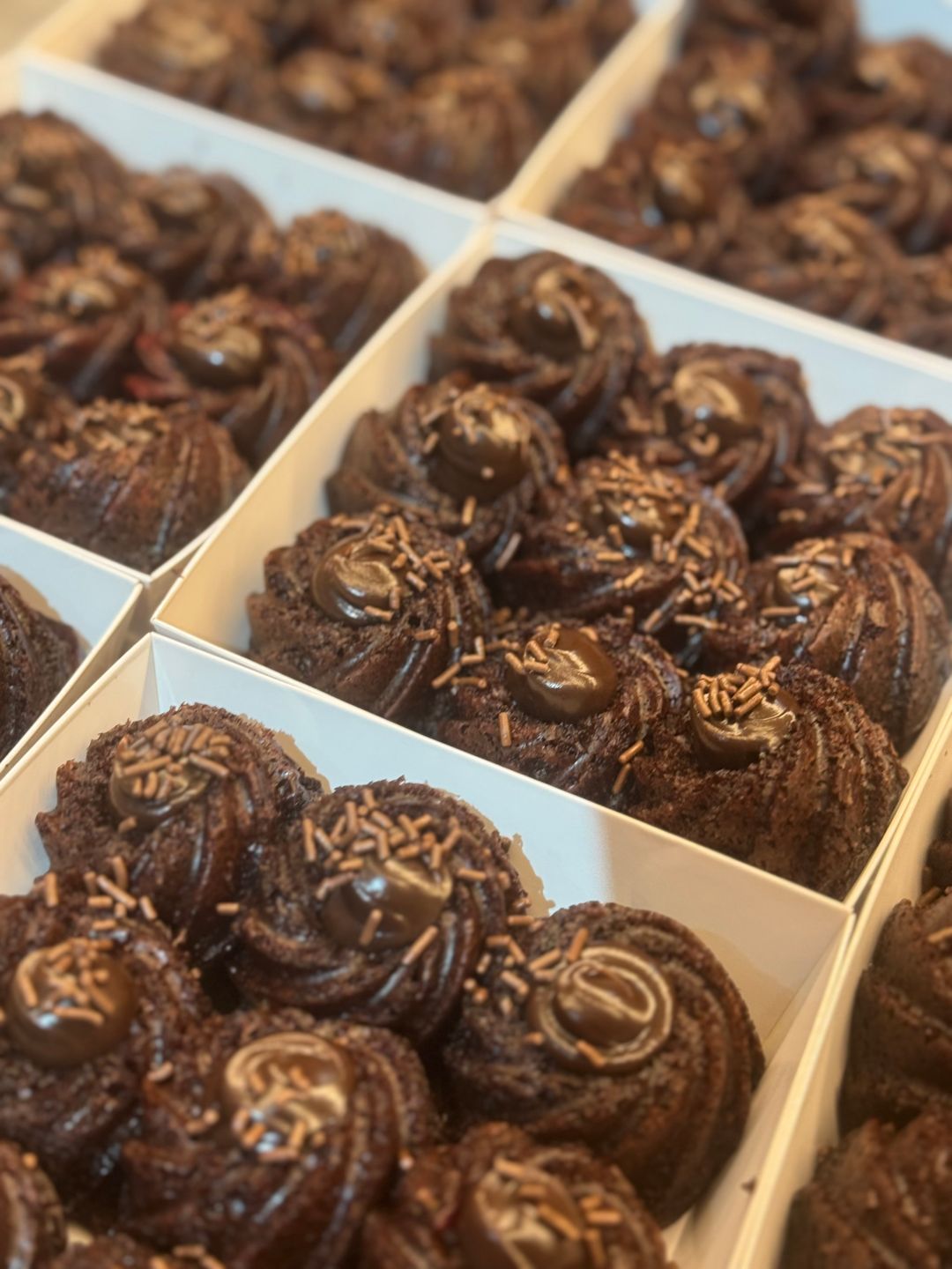 Choc Fudge Moist Cakelets