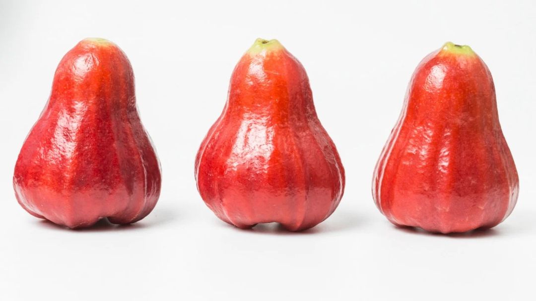 Jambu cakalang