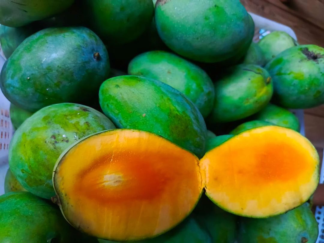 mangga mana sih