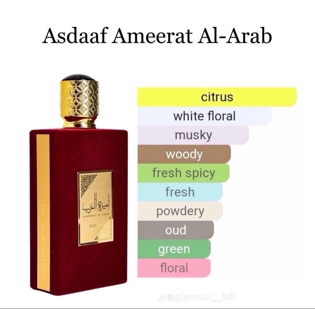 Ameerat Al Arab ( Asdaaf)