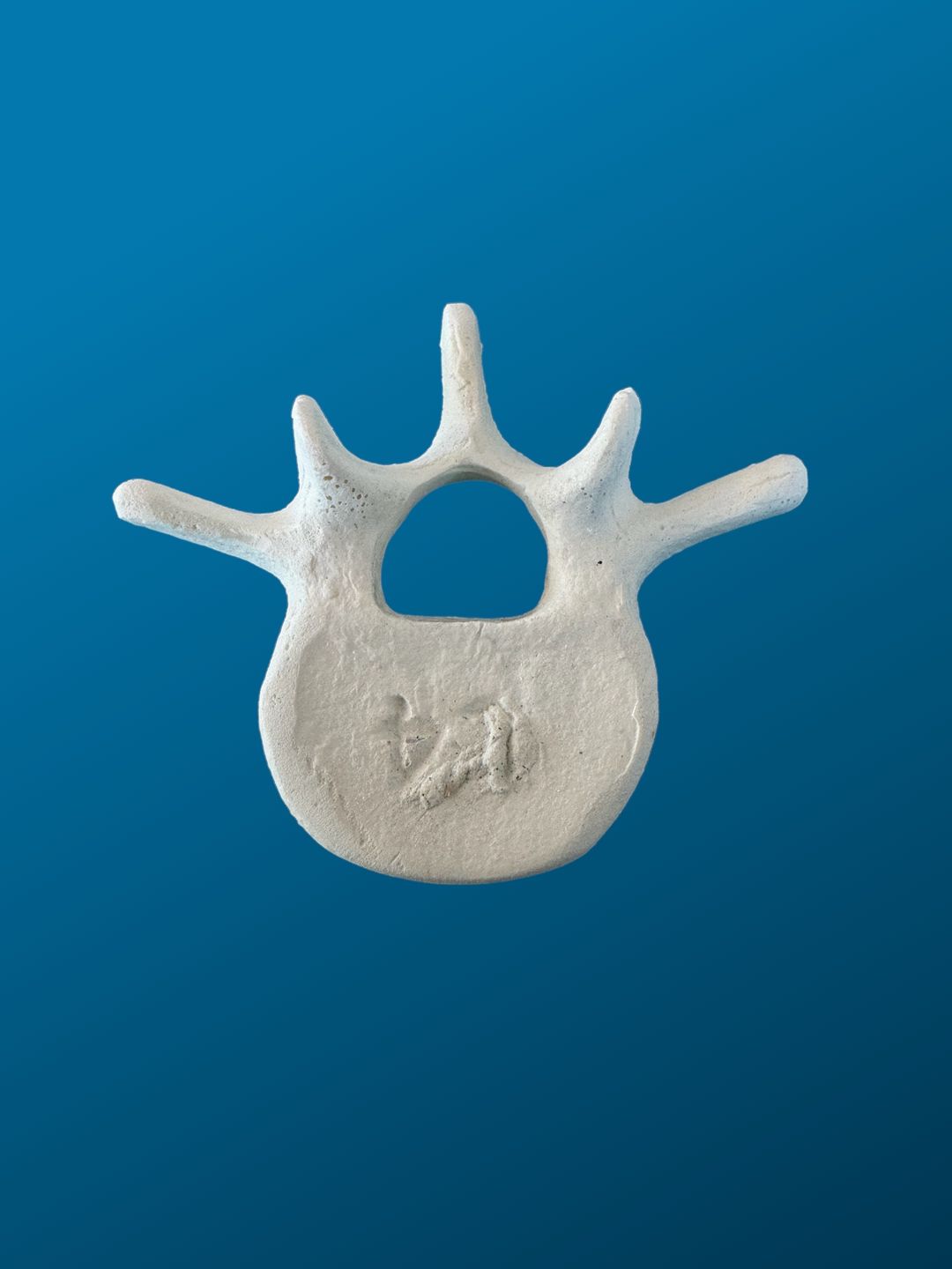 L4