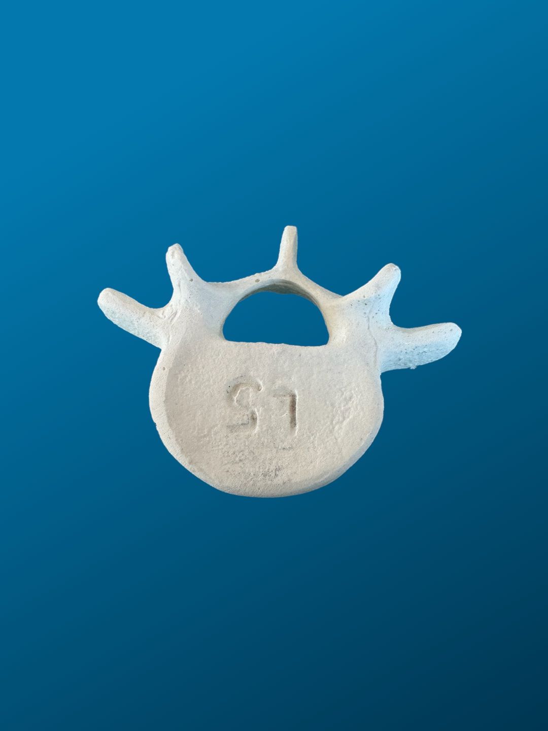 L5