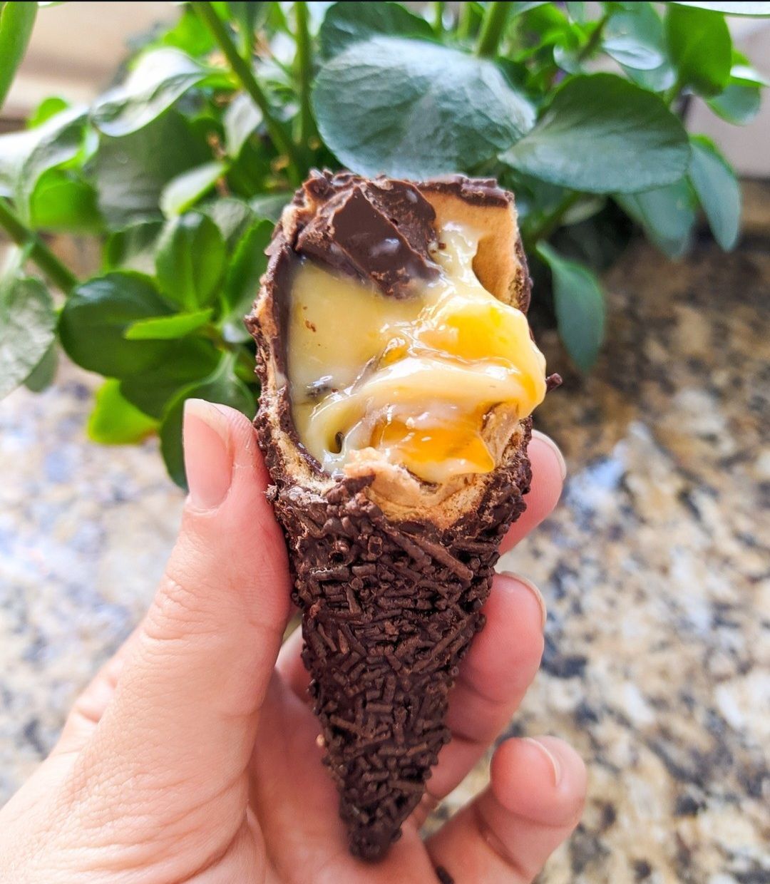 Passion Fruit (Maracujá)