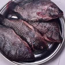 Fish Sato