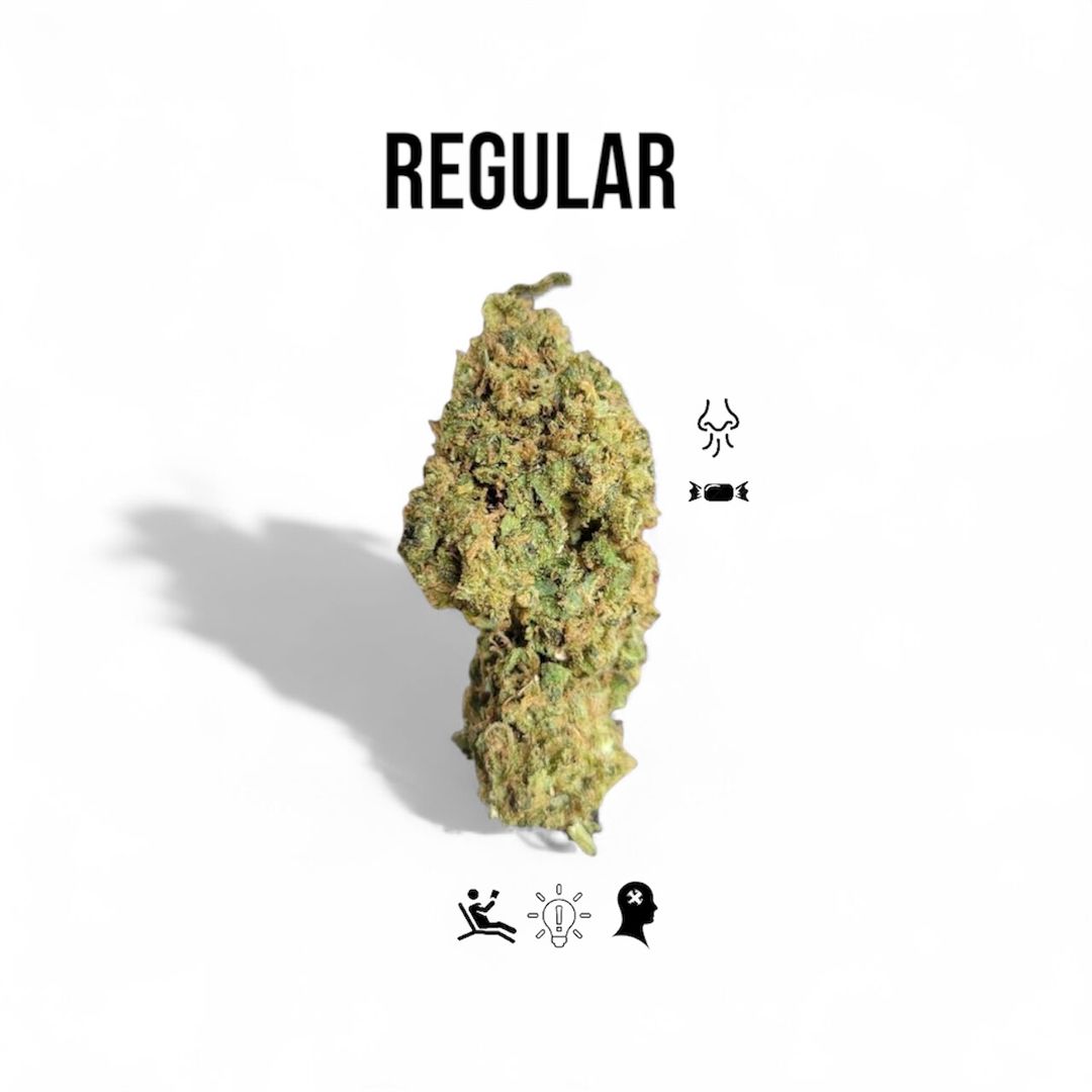 REGULAR