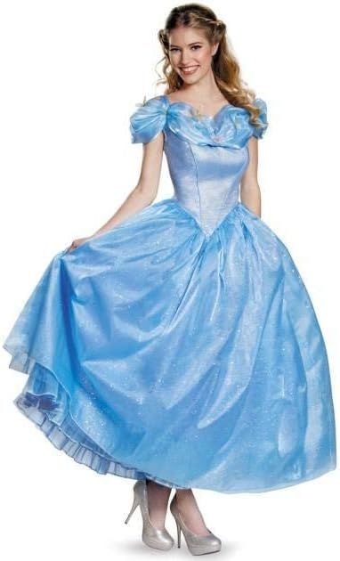 Cinderella Costume