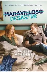 Libro “Maravilloso desastre”