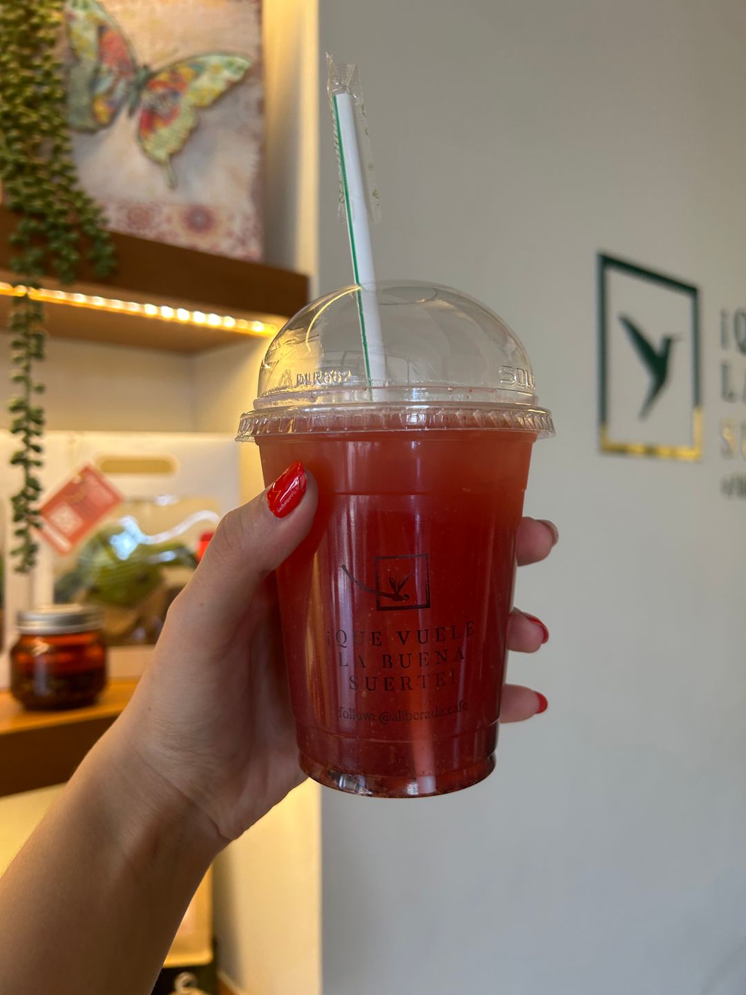 Refresher de Frutos Rojos Orgánicos