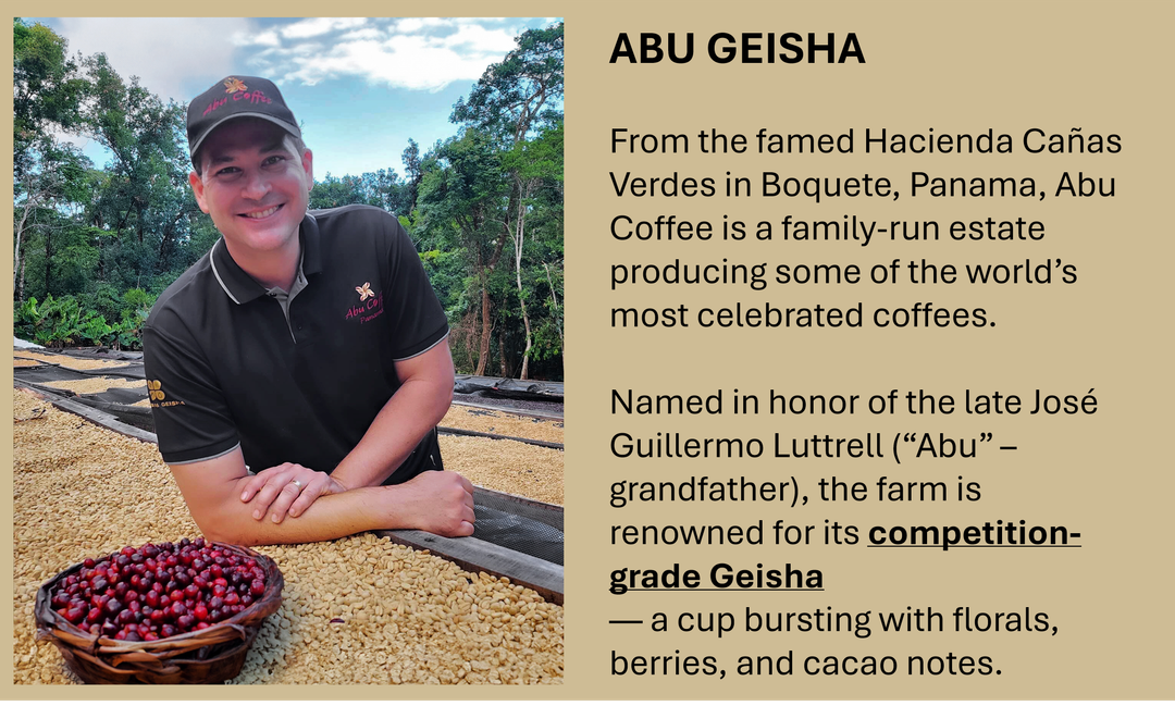 Panama (Geisha) : Abu Coffee, Natural Anaerobic       **COMPETITION GRADE**