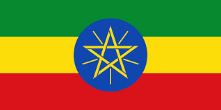 Ethiopia : Samii Banko Gotiti, Washed Process