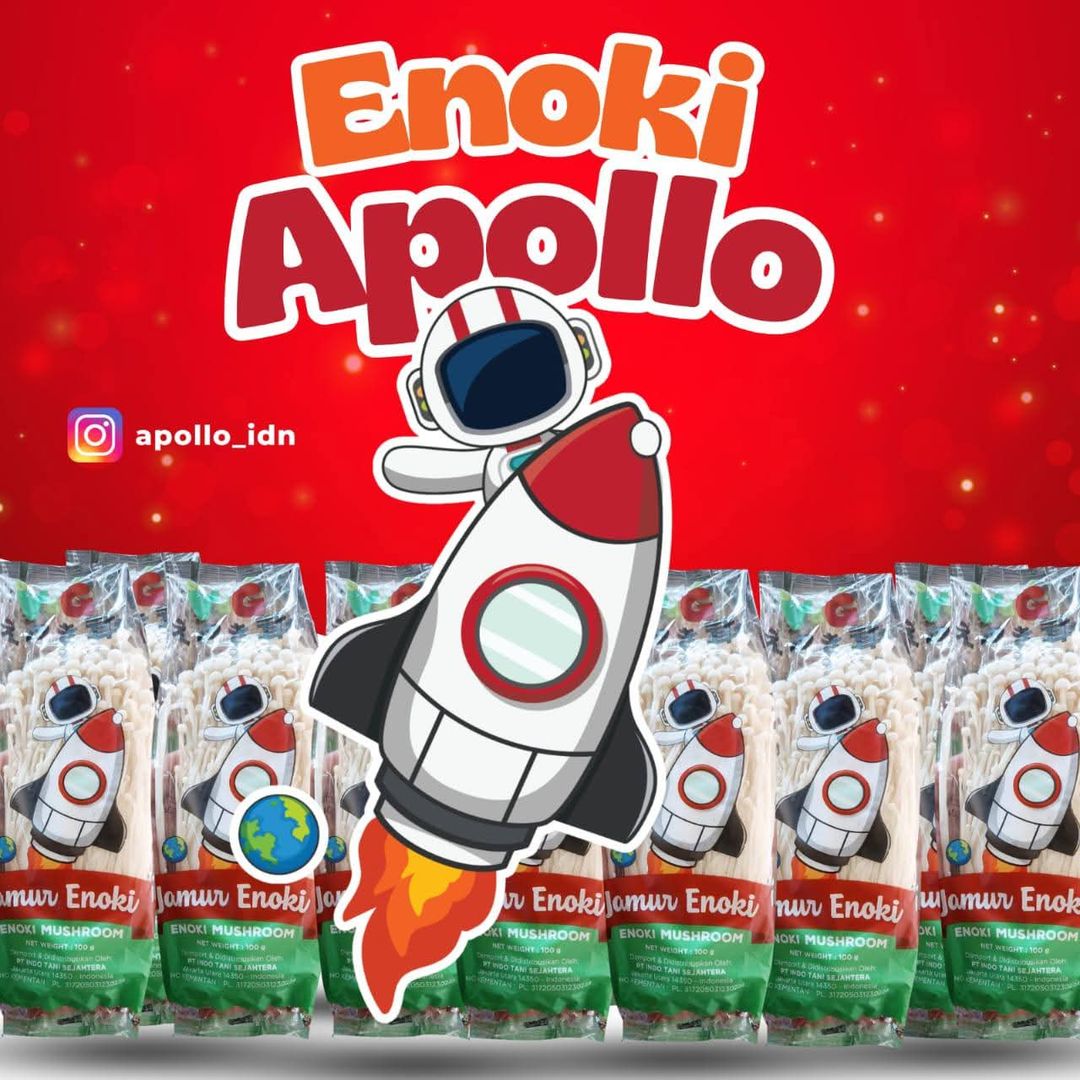 Enoki apollo premium