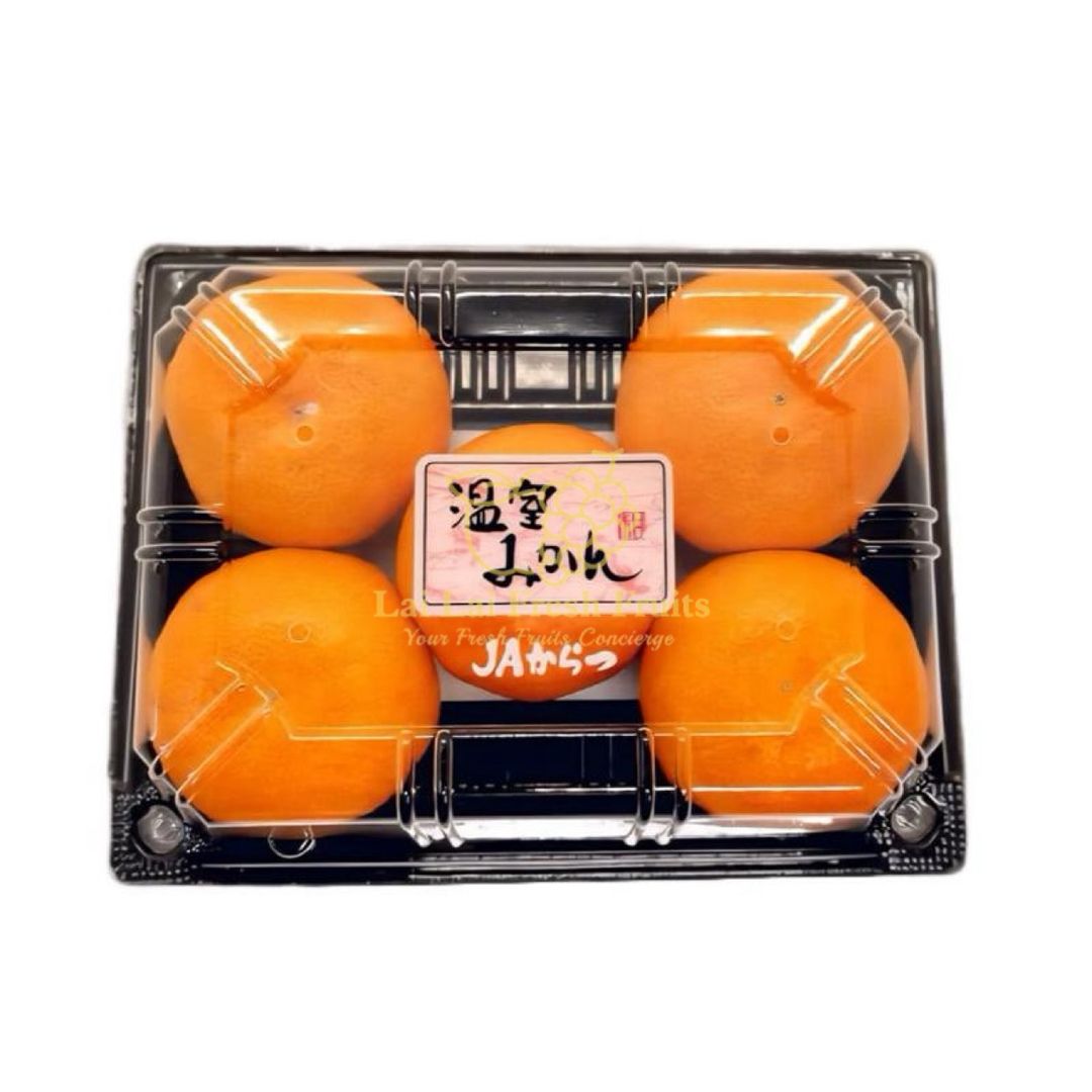 Japan Saga Karatsu Mikan 