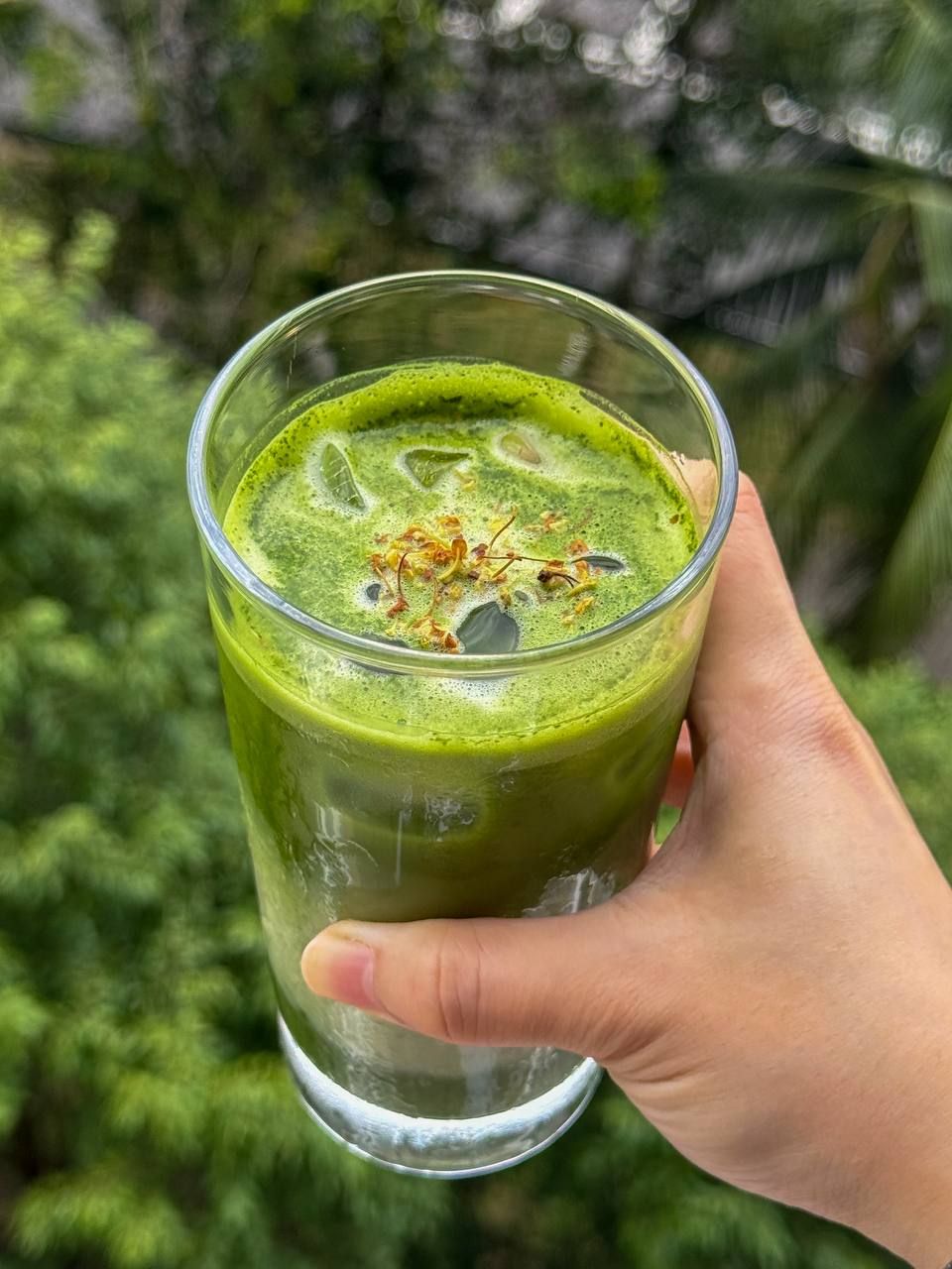 Osmanthus matcha latte