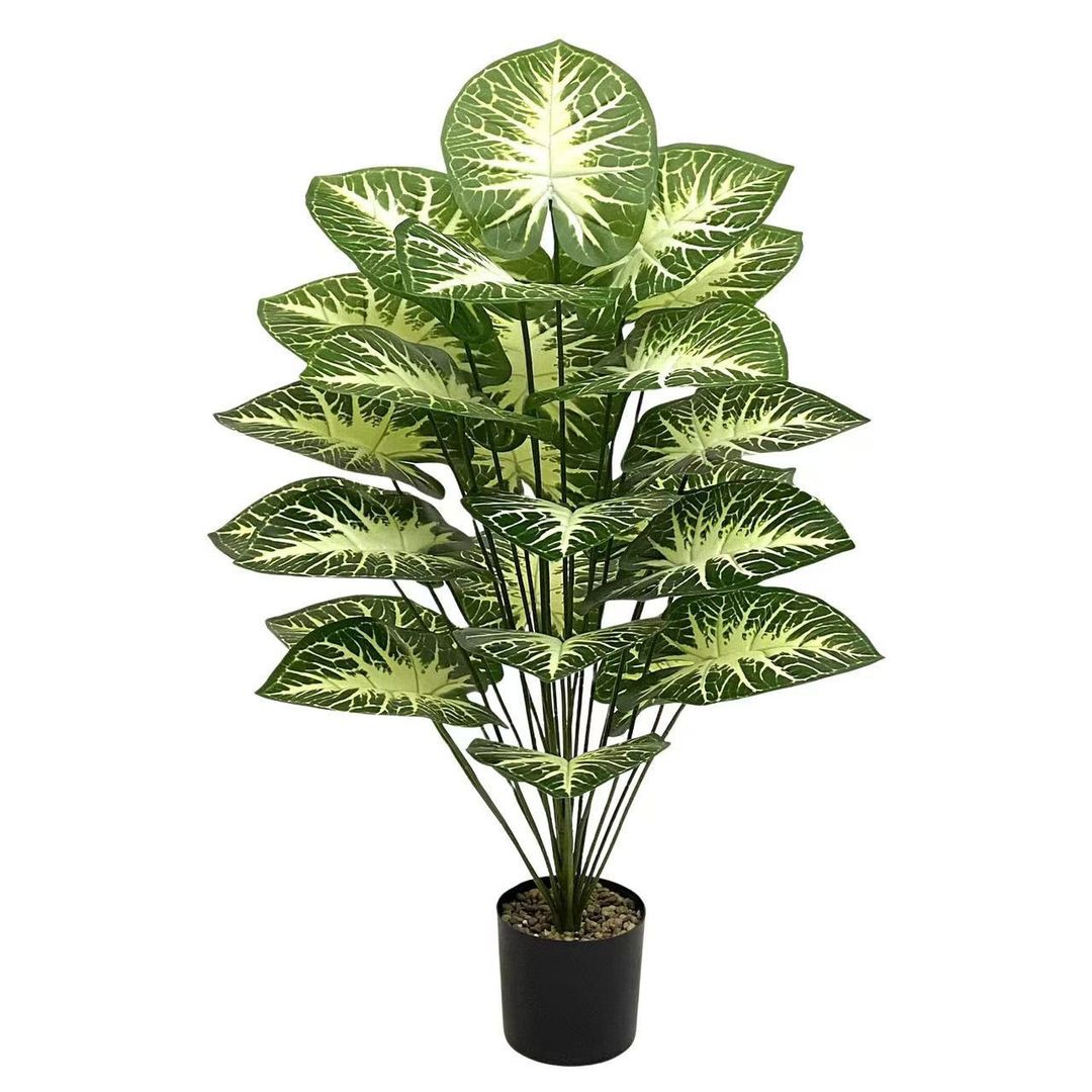 Flowers 5700 usafiri tu