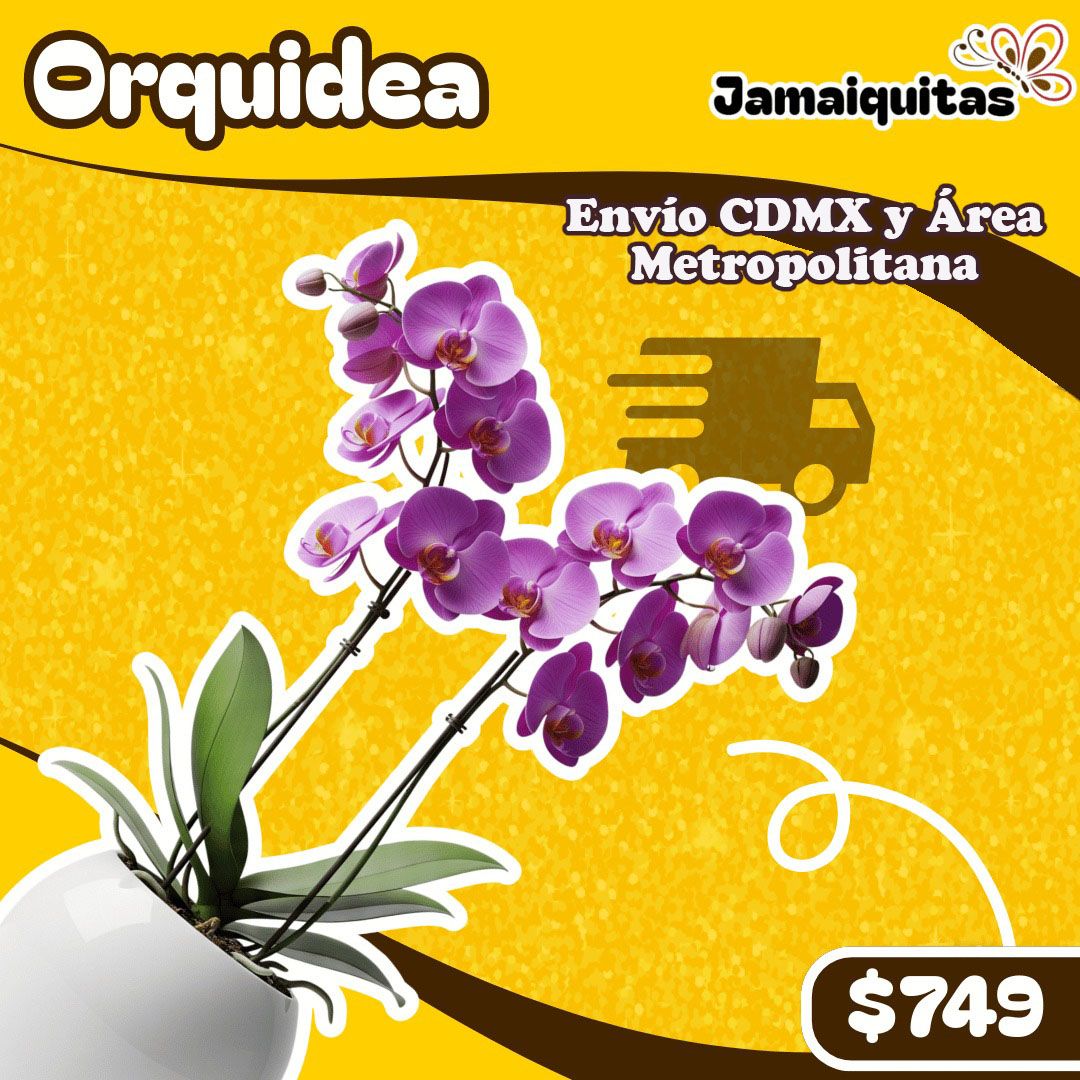 ORQUIDEA