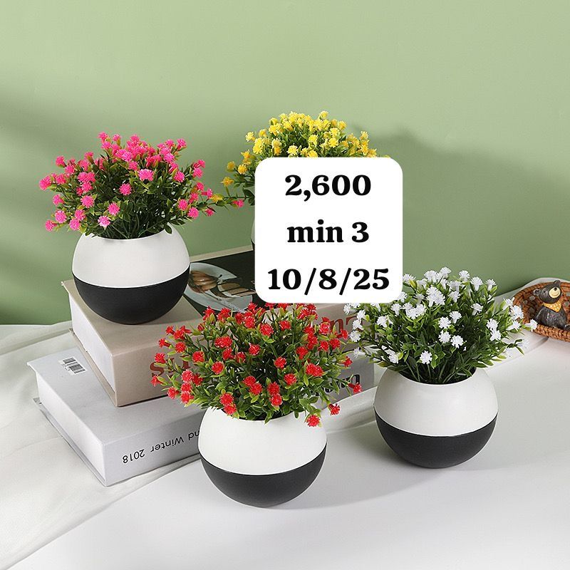 Flowers 2600 usafiri tu