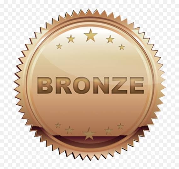 Bronze (Group Mentorship)