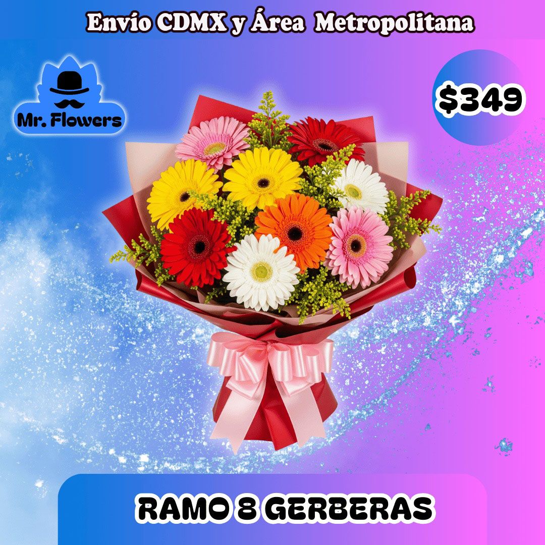 RAMO 8 GERBERAS