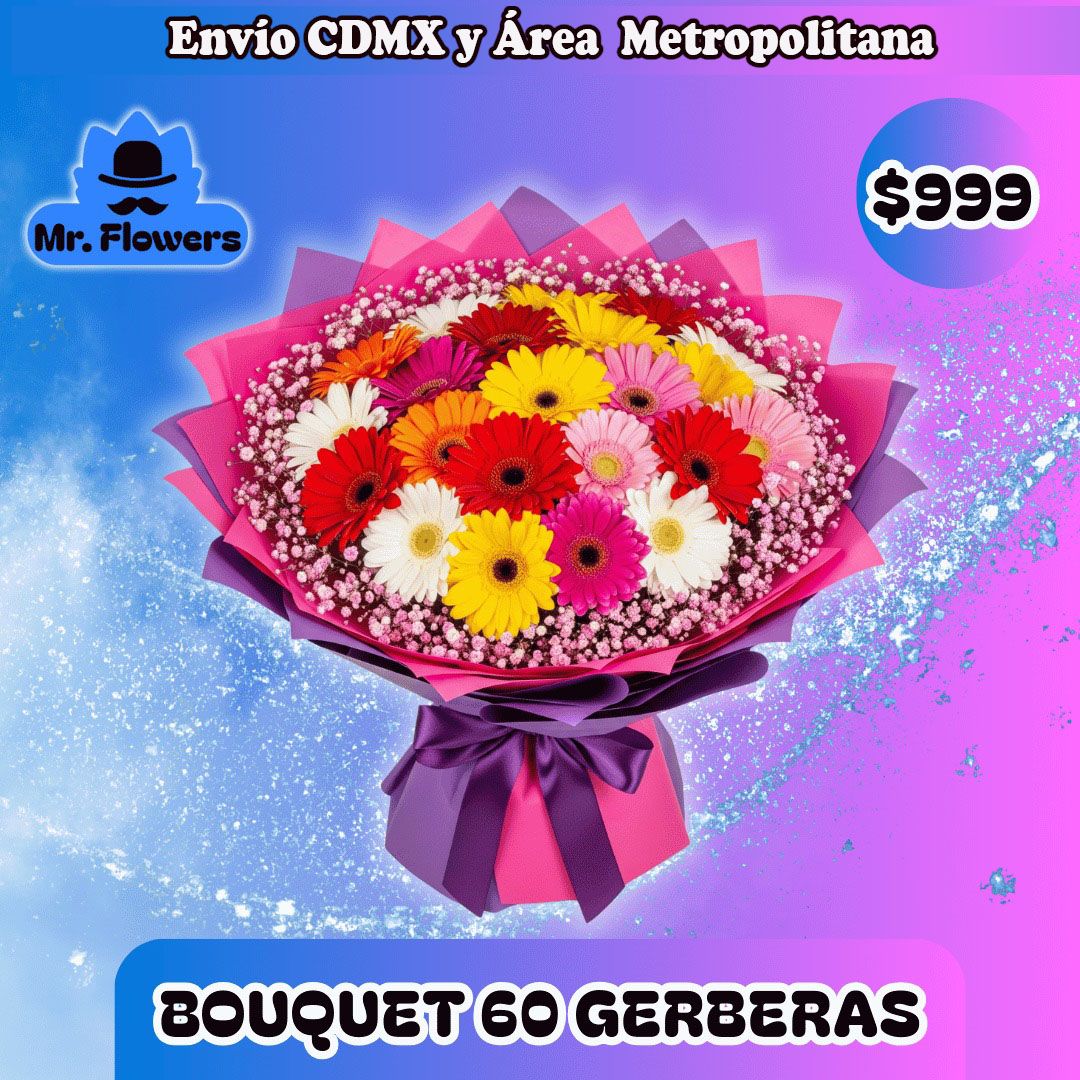 BOUQUET 60 GERBERAS