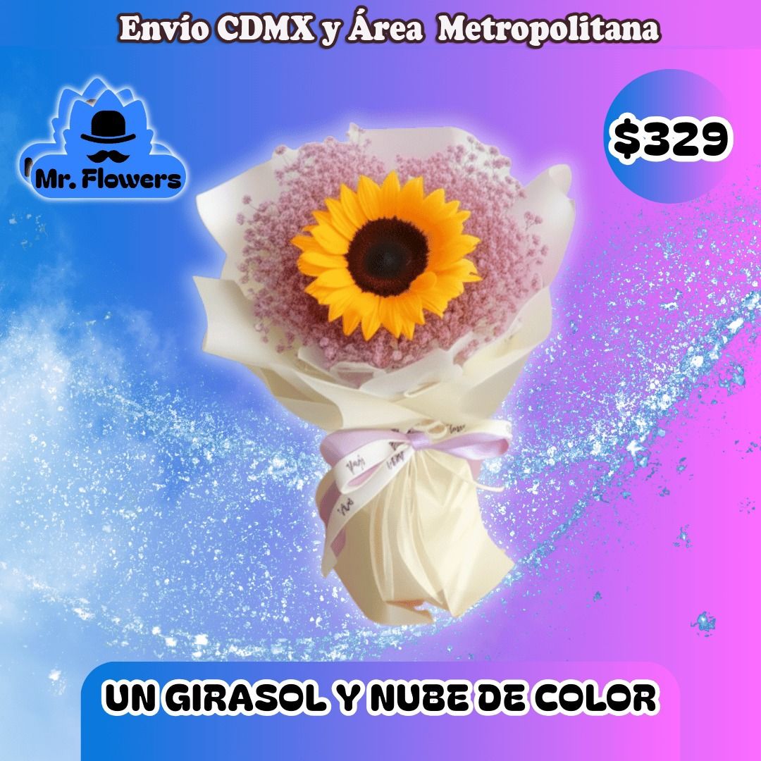 RAMO UN GIRASOL Y NUBE DE COLOR