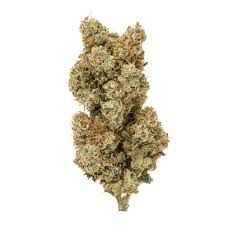 White widow strain 