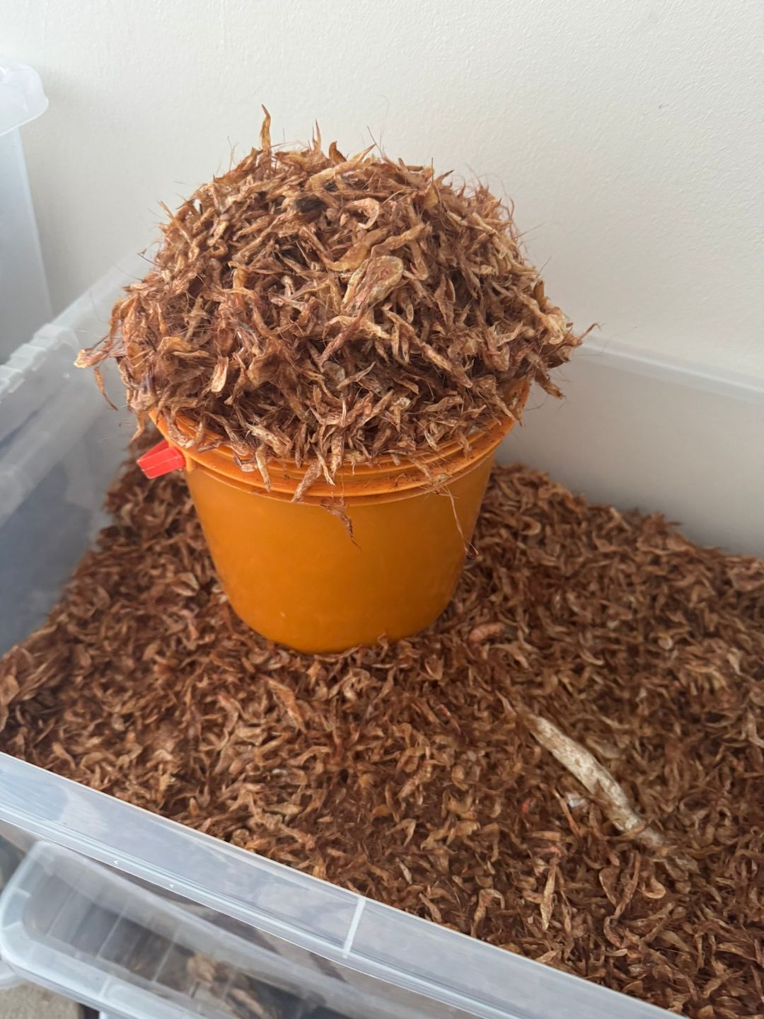 Crayfish (Whole, Sun-Dried)