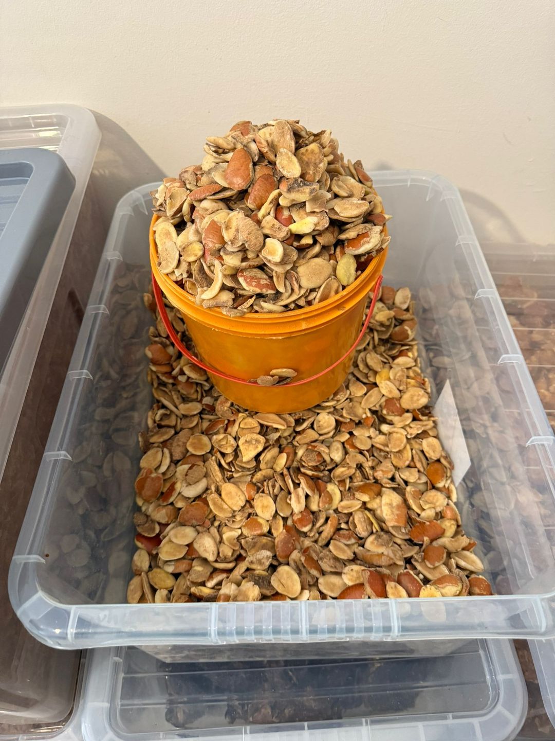 Ogbono Seeds