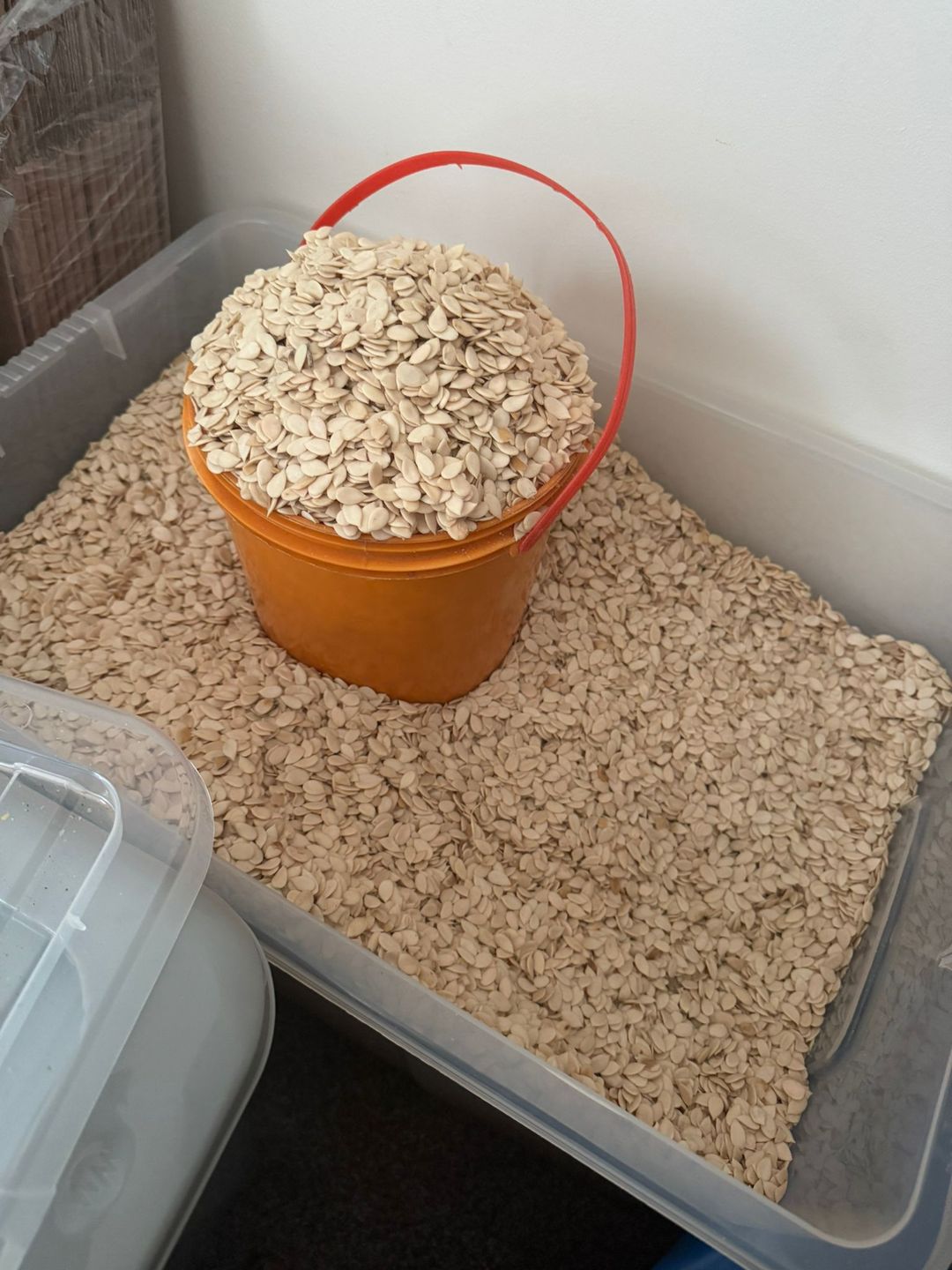 Hand-Peeled Egusi Seeds