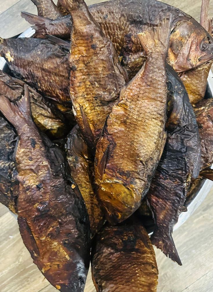Bonga Fish