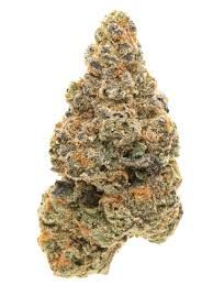 Girl scout cookies 