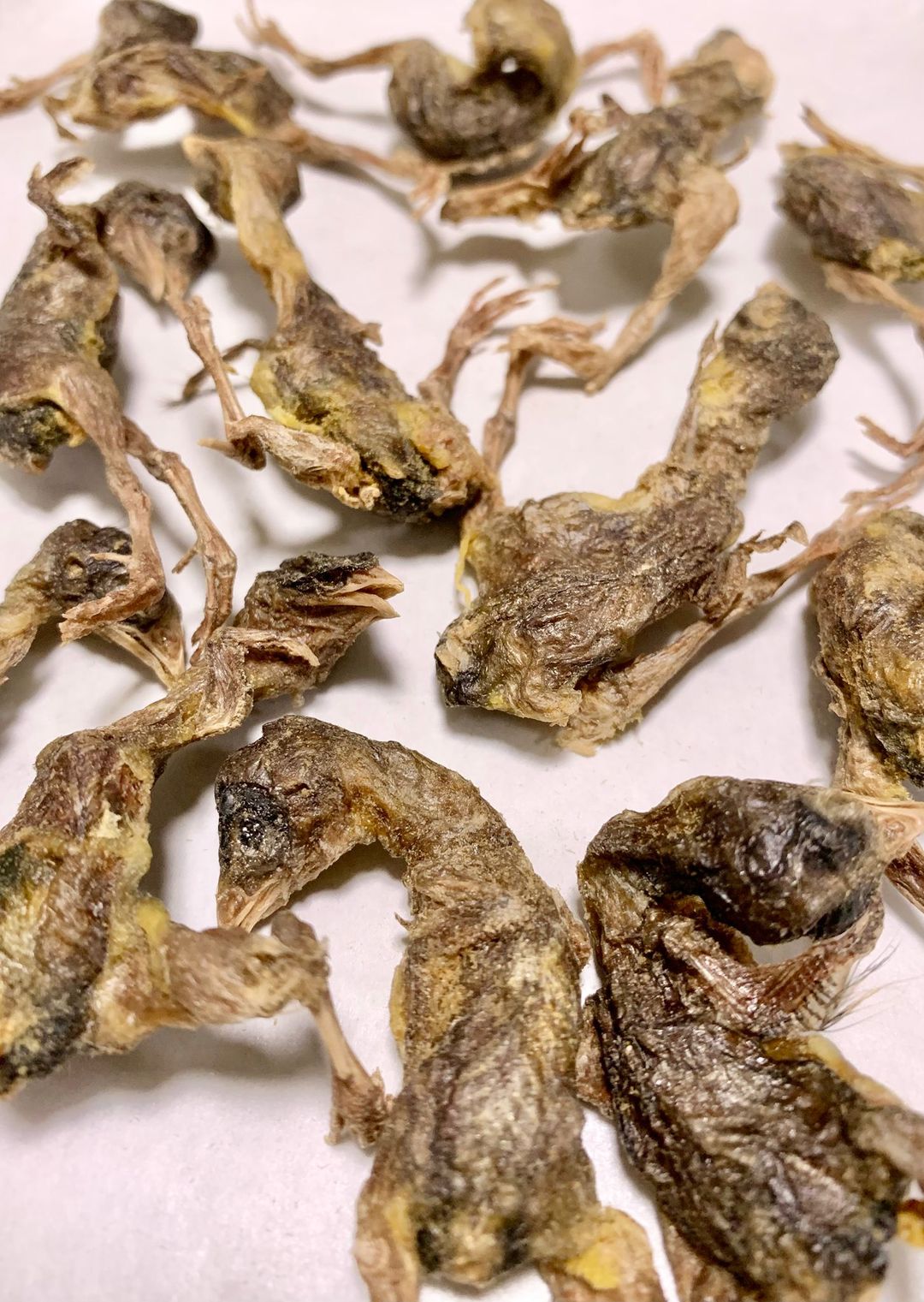 凍乾原隻鵪鶉