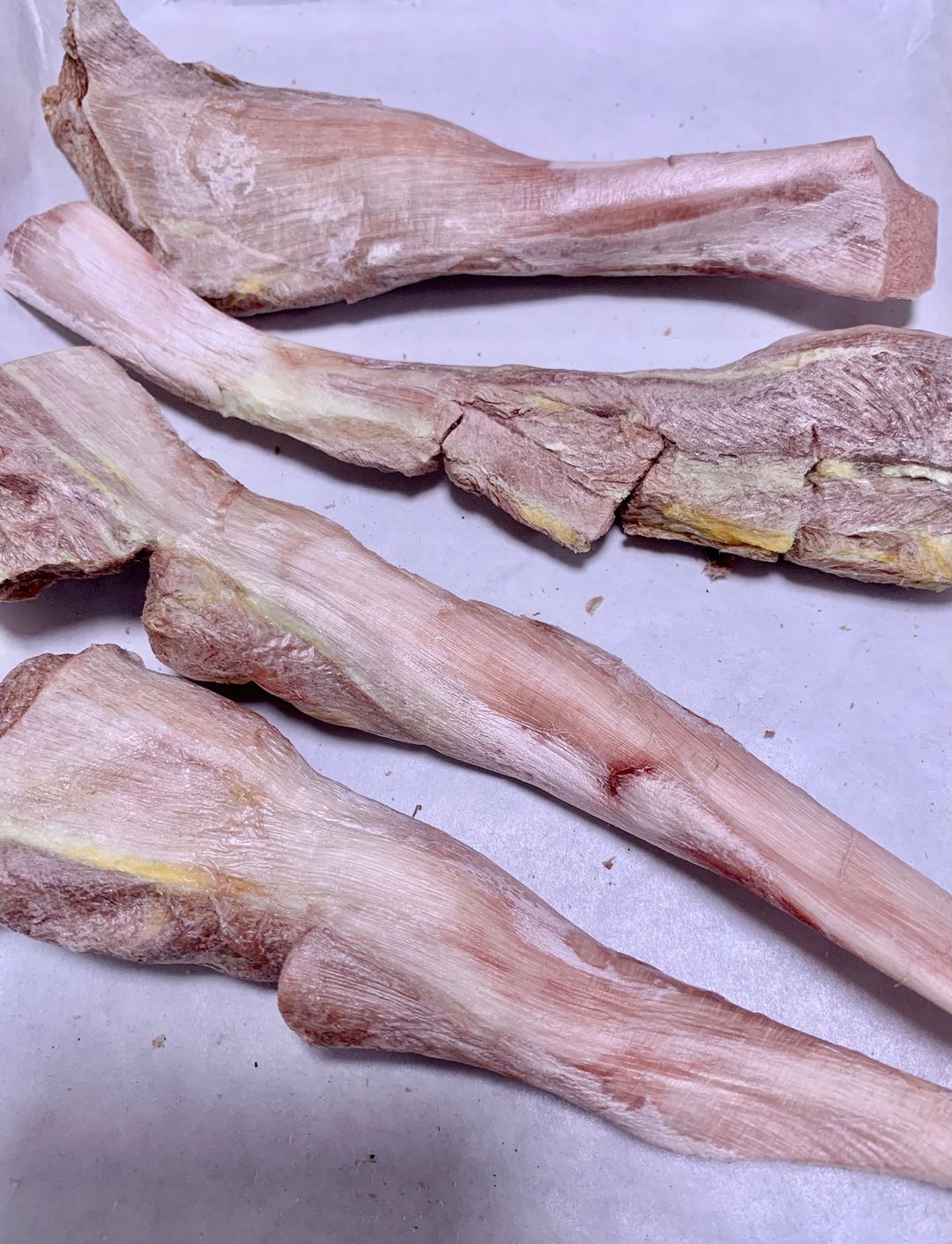 凍乾南非鴕鳥筋腱肉