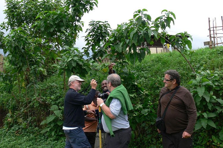 3 day Gorilla trekking adventure 