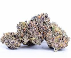 White runtz strain 