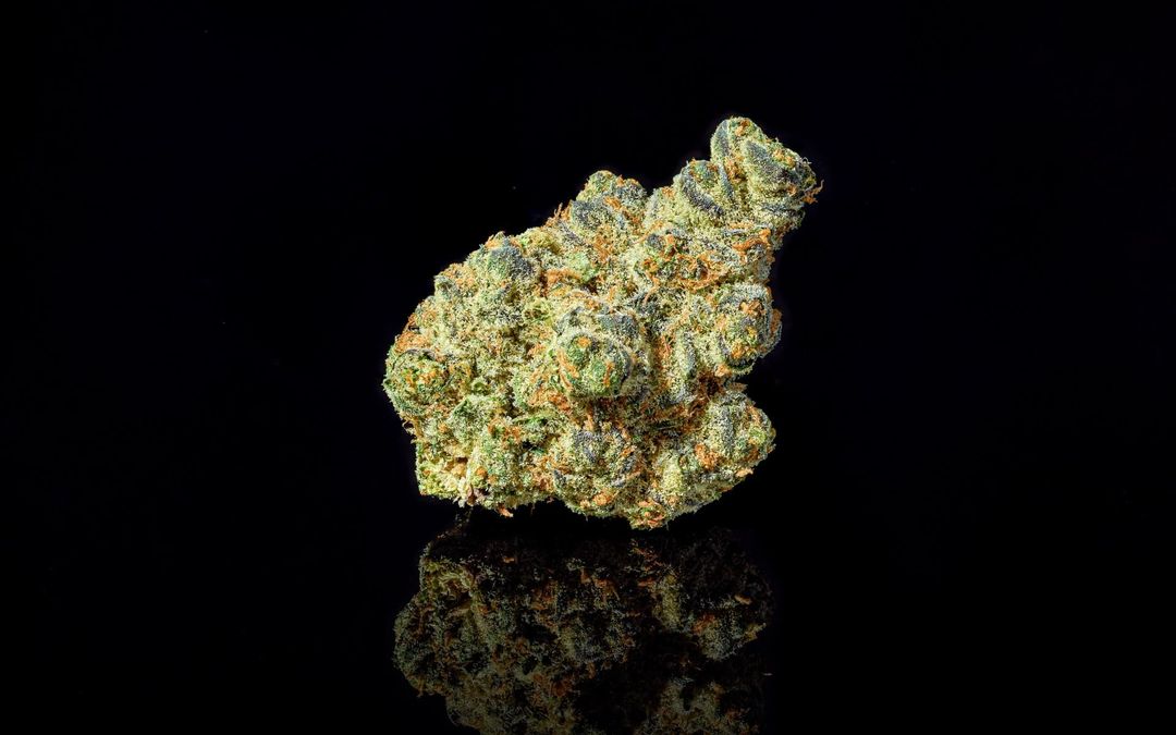 Apple fritter