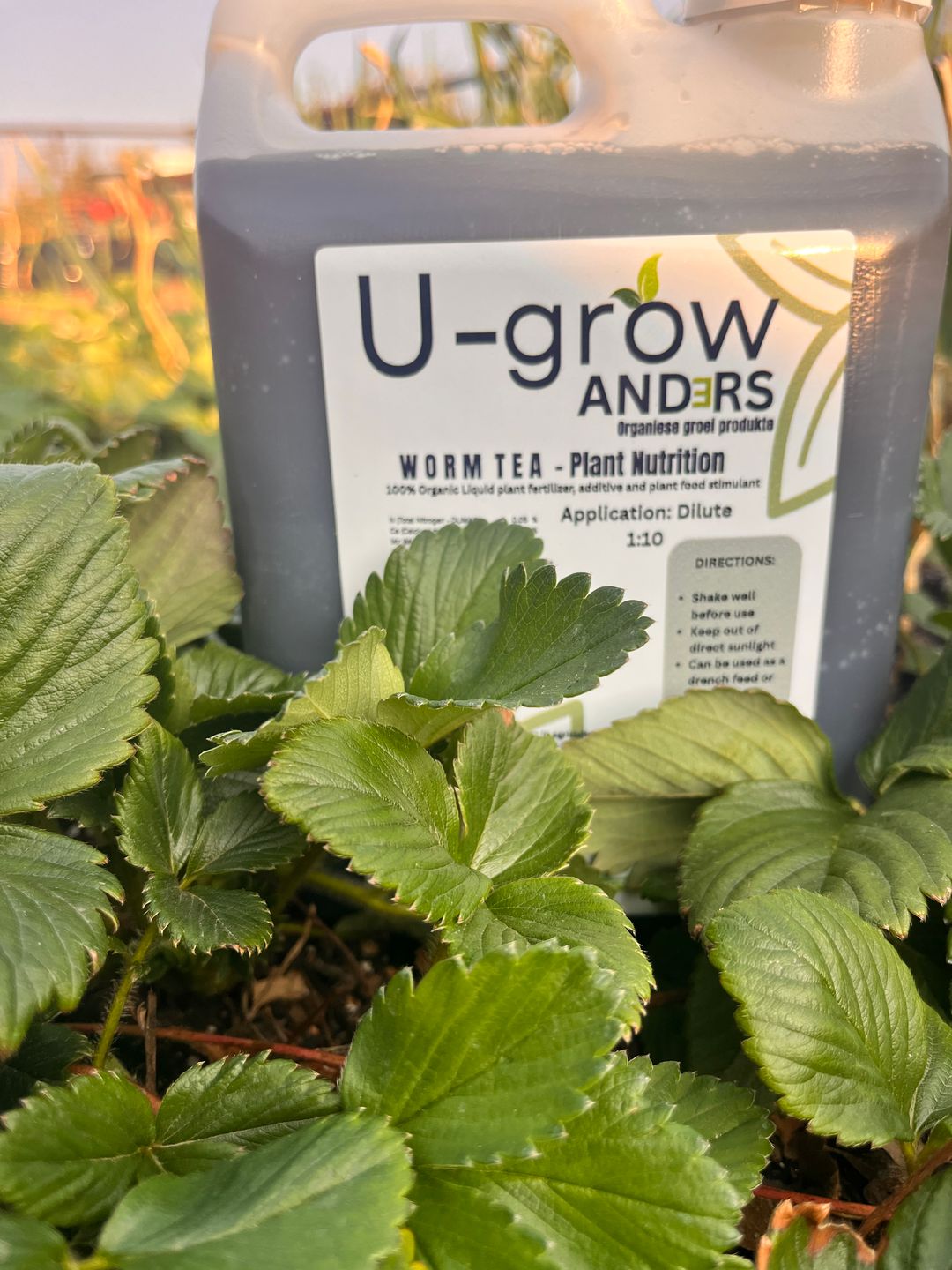 Worm Tea 2l UGrow