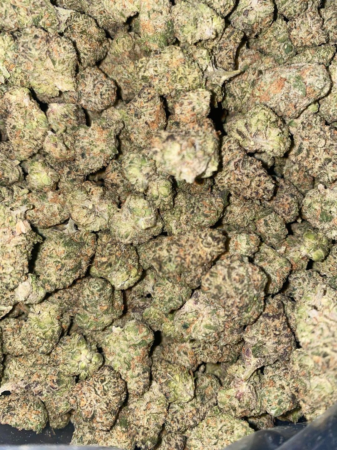 Gelato Mintz (AAA)