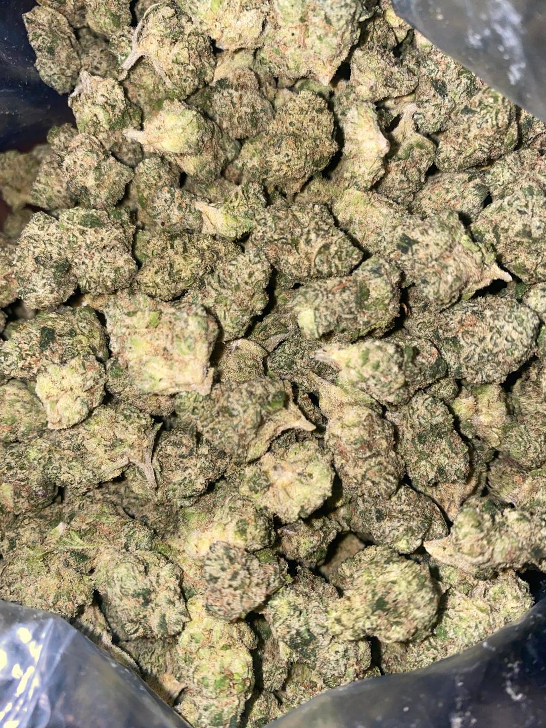 GMO Fuel (AAA+)