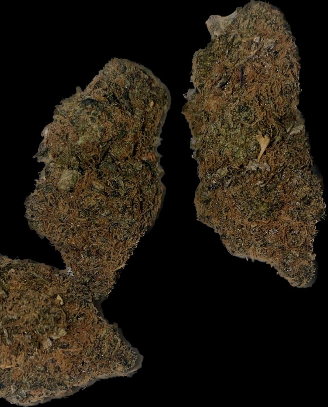 Agent Orange (AAA+/ AAAA-) 
