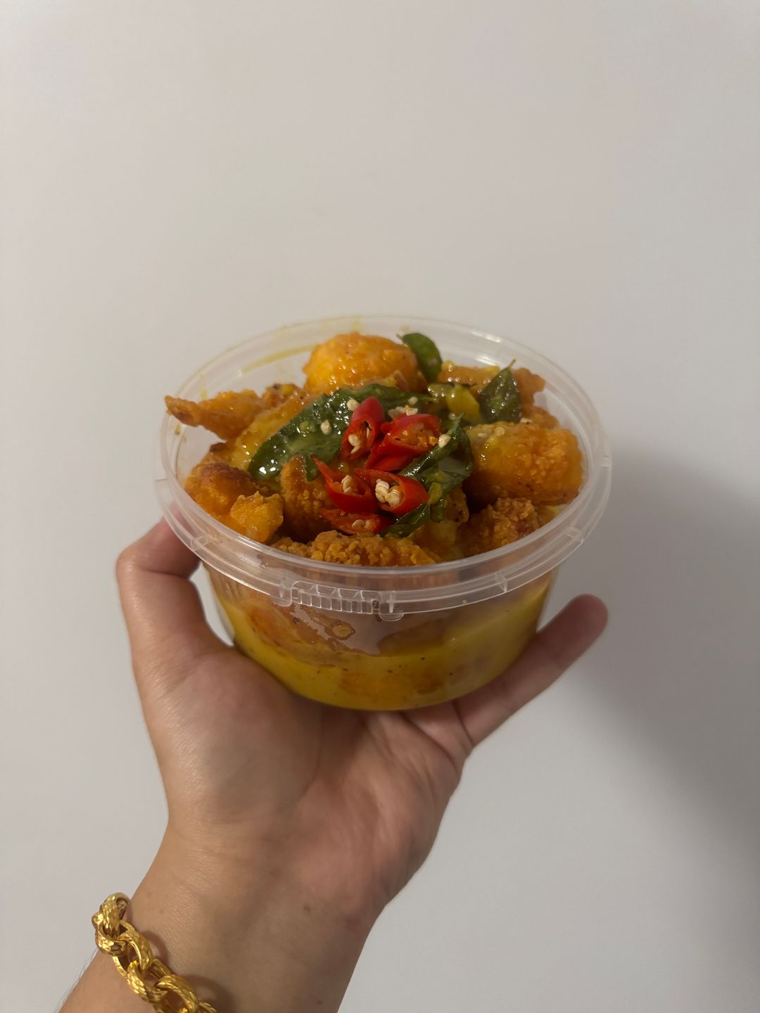 Mini SECs Banjir