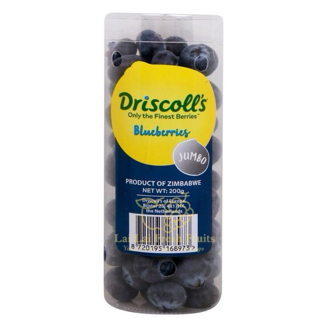 Driscoll South Africa Jumbo Blueberries