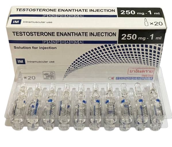 TESTOSTERONE ENANTHATE INJECTION (pharma) 250