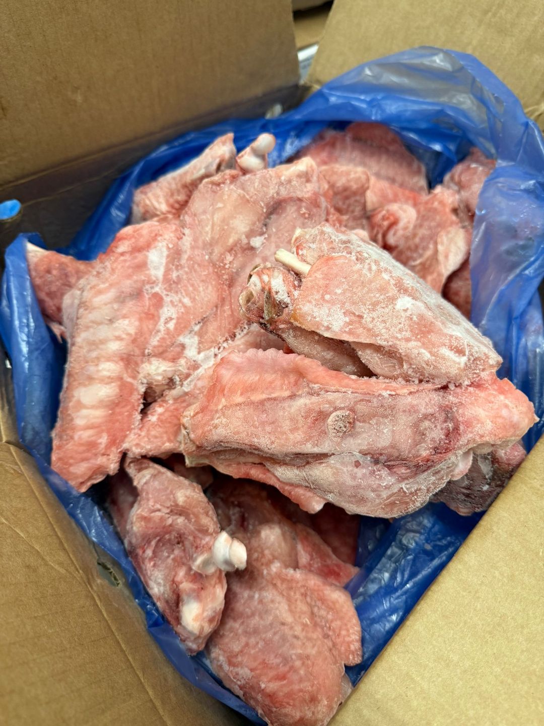 Turkey Midwings 