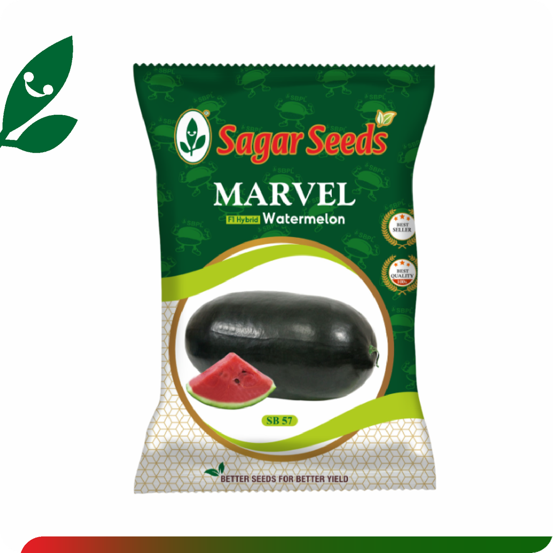 Sagar Marvel F1 Watermelon(25g)