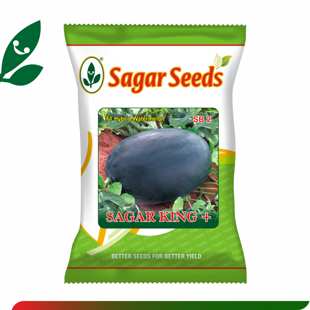 Sagar King plus F1 Watermelon(50g)