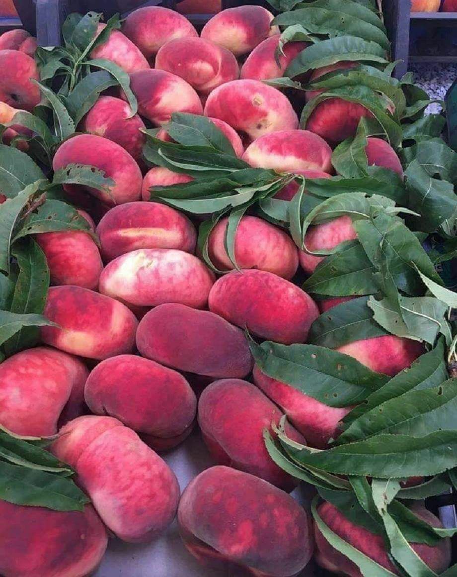 خوخ تيني 